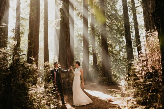 Wedding couple photo in the redwoods at Roaring Camp Railroads.