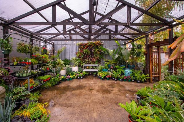 Dig Gardens in Santa Cruz and Aptos have a wide variety of indoor and outdoor plants, plus home decor and home wares.