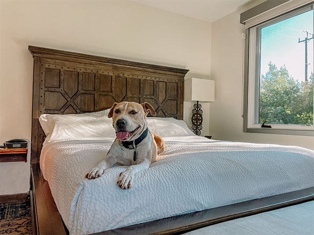 Four Points Santa Cruz Scotts Valley in Scotts Valley California welcomes pets up to 75 pounds.