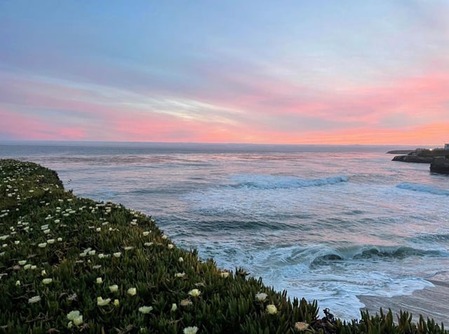 Sunset photo, we see waves crashing and wildflowers on the hill. 