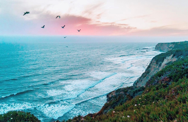 Davenport beach at sunset as birds are flying over.