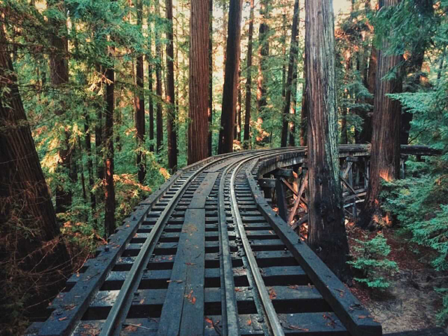 Photo of the railroads at Roaring Camp. 