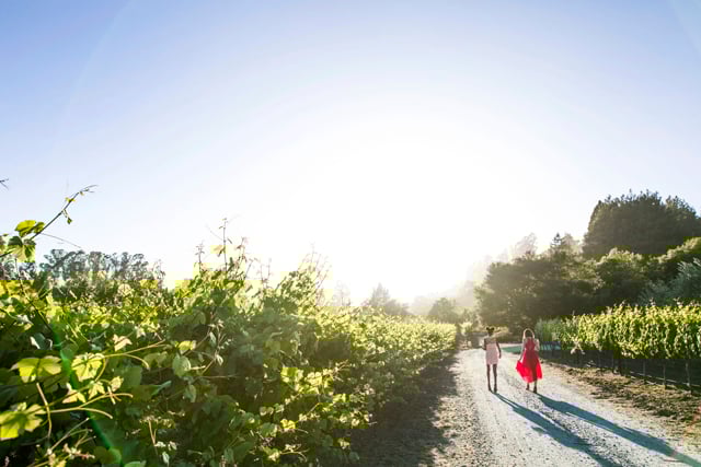 Wine trail