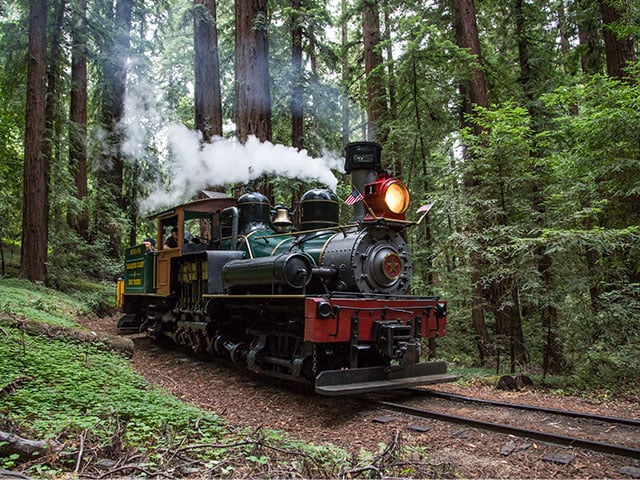 Redwoods Roaring Camp train