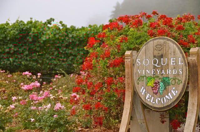 Flowers at Soquel Vineyards