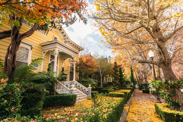 The historic distrcit of Downtown Santa Cruz is filled with unique treasures. Walnut Avenue is lined with historic Victorian homes and is especially beautiful in fall as the leaves turn.