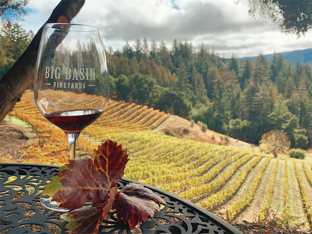 5 Ways to Enjoy Fall in Santa Cruz County by Monica Multer: Wine Tasting at a vineyard!