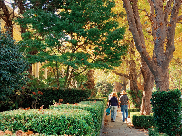 5 Ways to Enjoy Fall in Santa Cruz County by Monica Multer: Walk Downtown Santa Cruz and be sure to stop at Walnut Avenue.