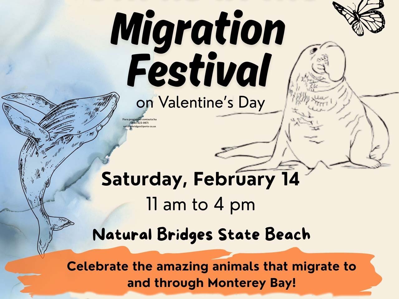 Scientific drawings of elephant seals whales and monarch butterflies with Festival details written on them