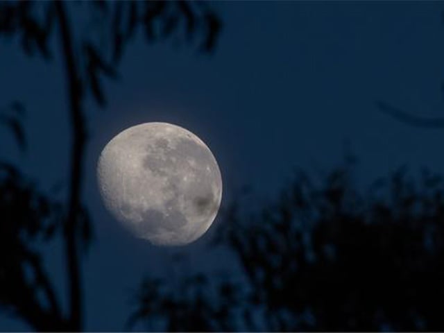 Blue Moon