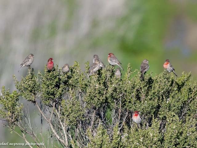 visit santa slough