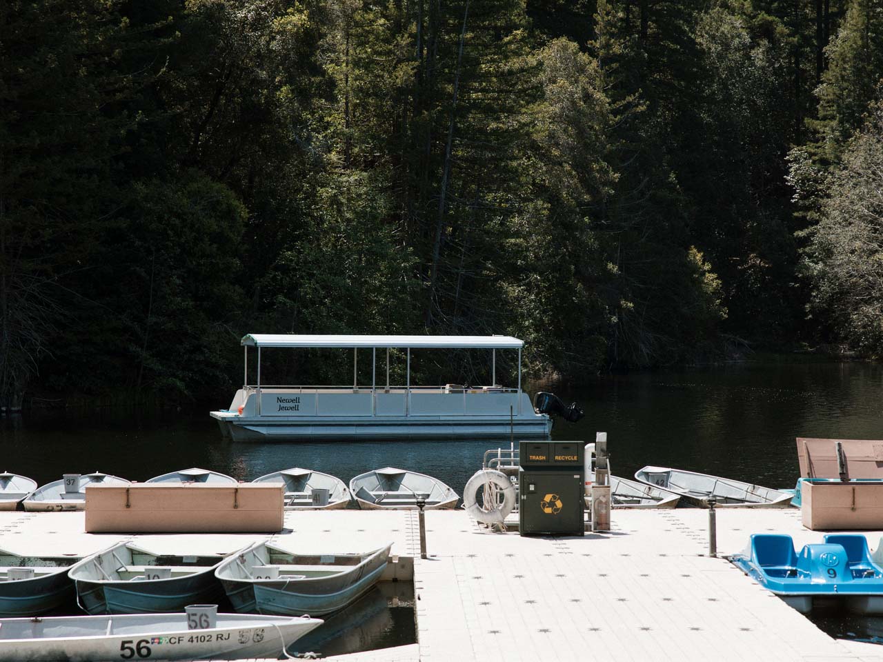 pontoon group boat at a dock with redwoods in the background
