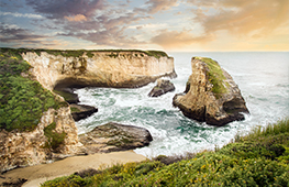 Davenport Shark Fin Cove