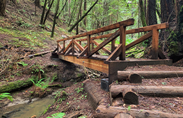 The Forest of Nisene Marks State Park Bridge