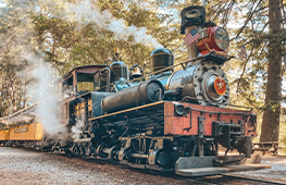 Roaring Camp Railroads