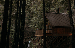 Santa Cruz Mountains Waterfall Lodge Romantic Cabin