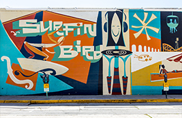 Surfin Bird Mural