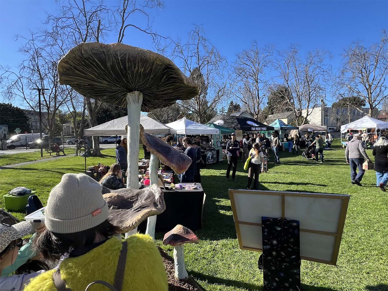 Booths and giant mushrooms set up outside