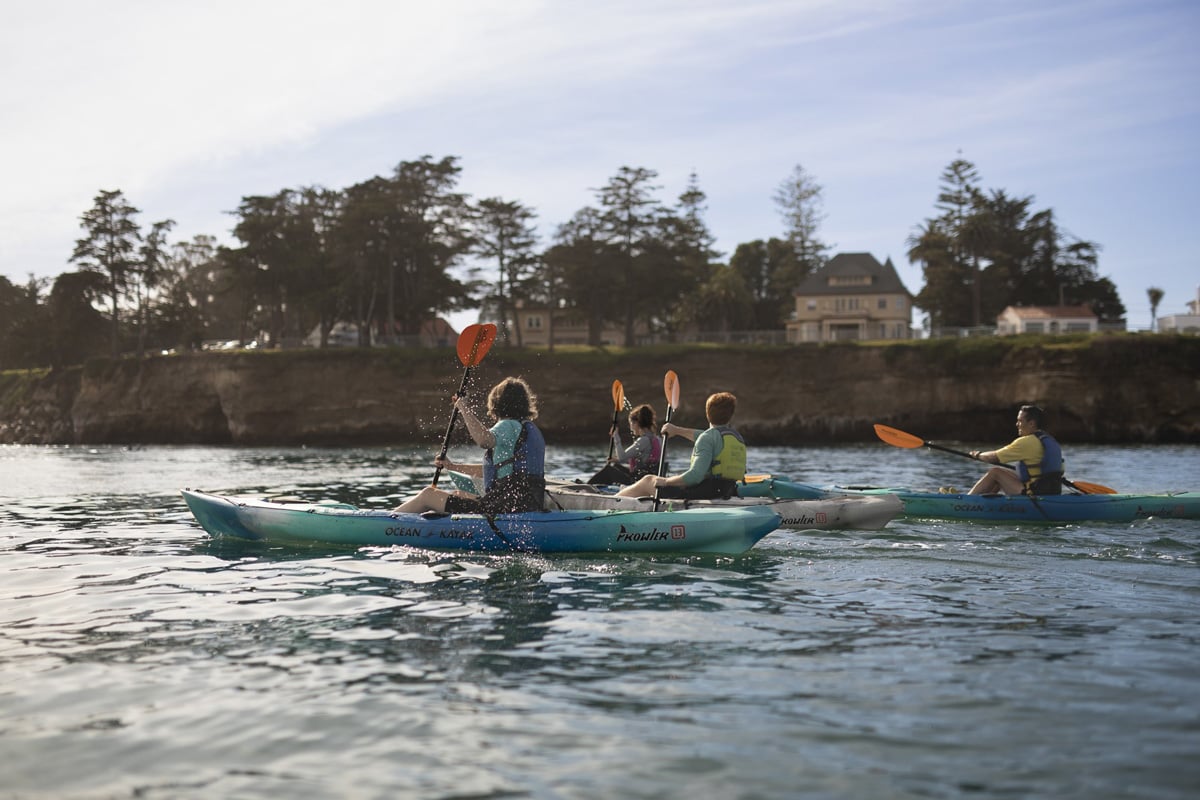 Group of people kayaking in Santa Cruz
