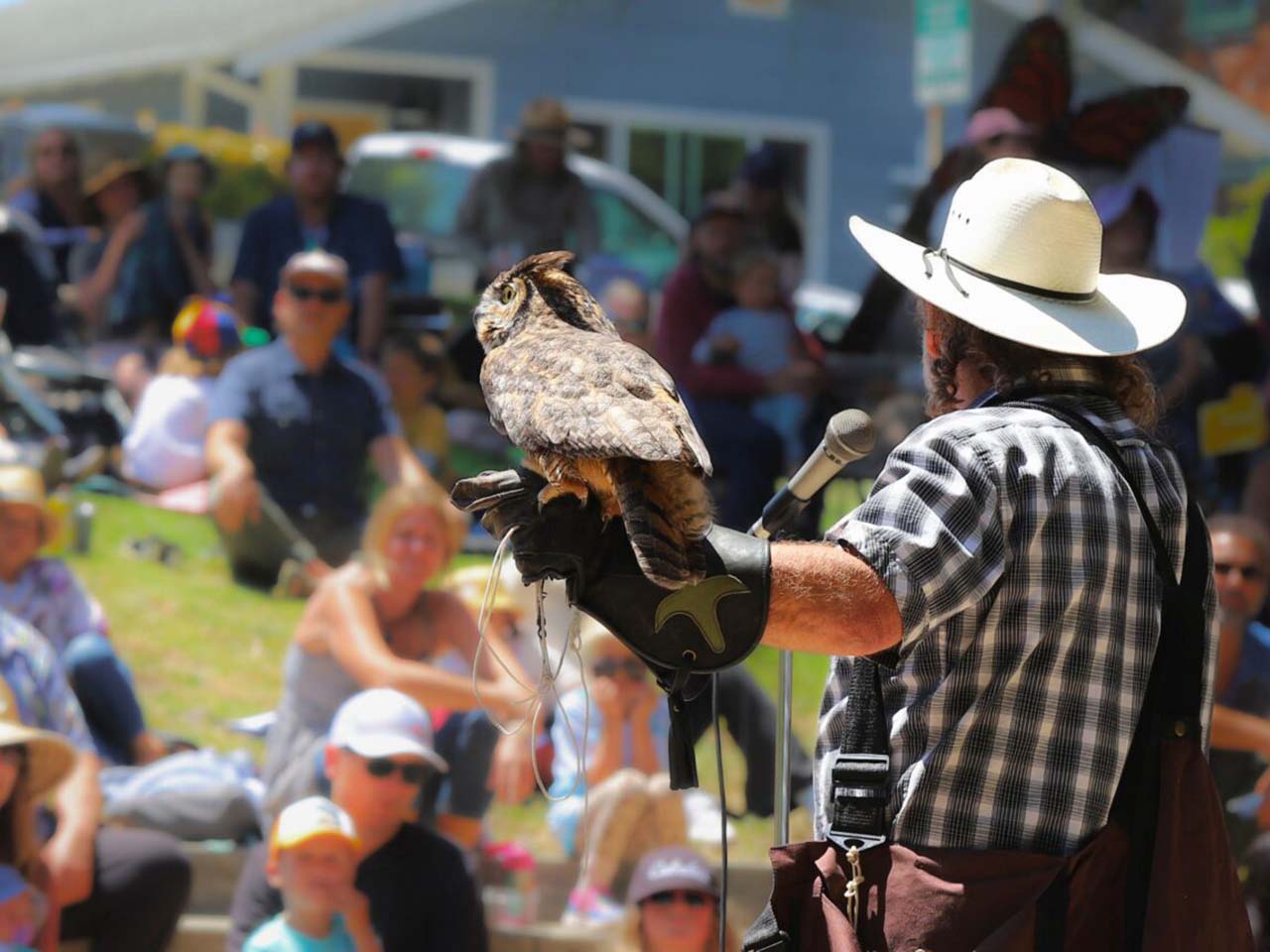 Demonstrator showing an owl to an audience