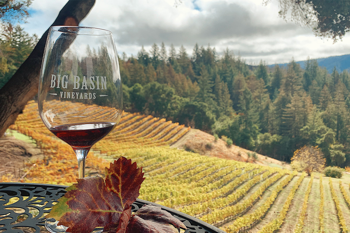 Wineries, Taps & Tastings - Visit Santa Cruz County