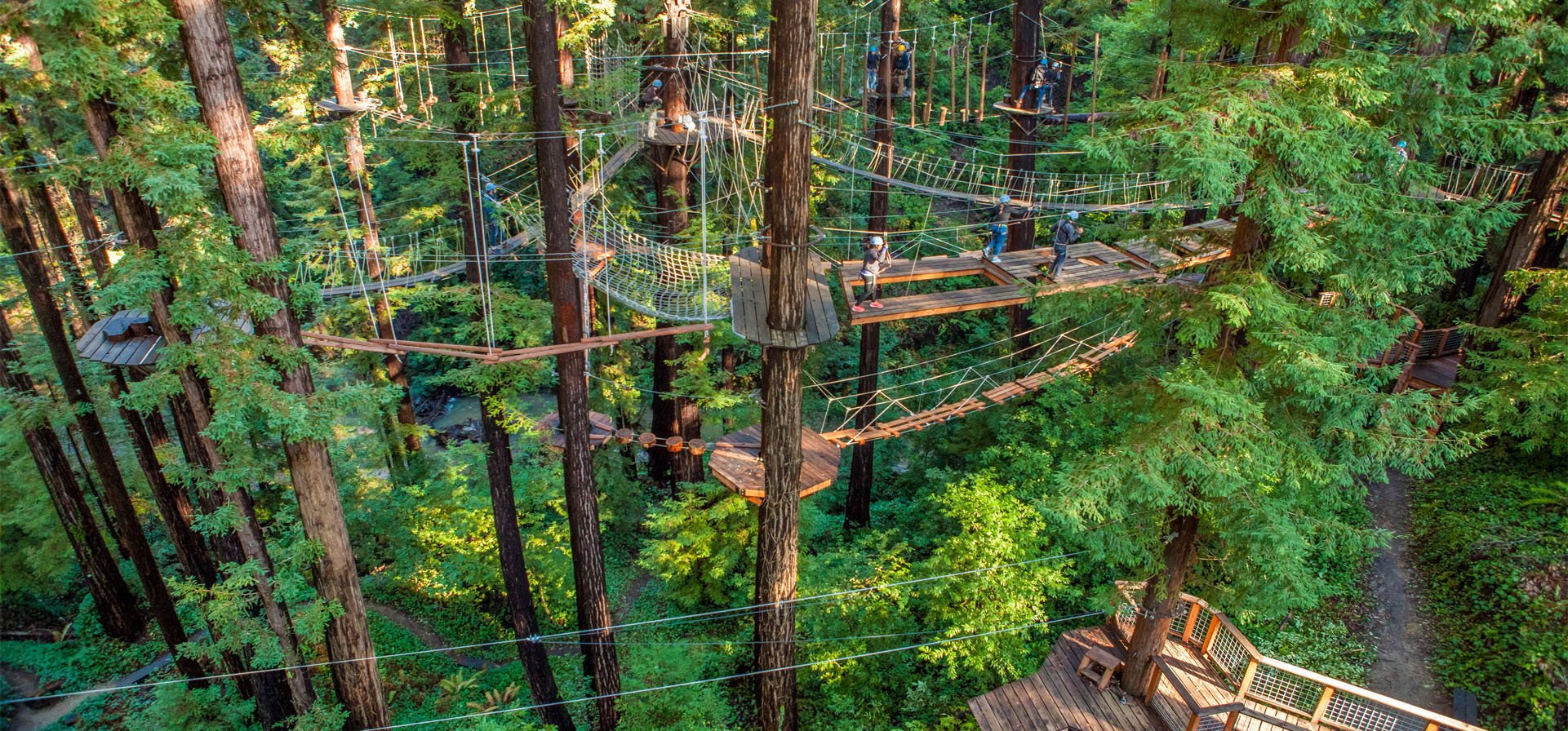 Rope Course at Mount Hermon Adventures