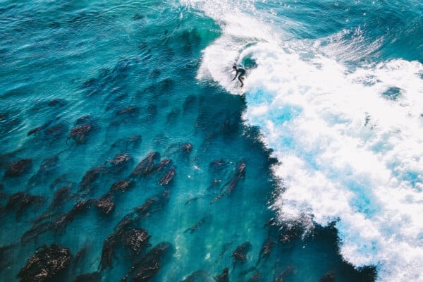 Surfing in Santa Cruz photographed by Mei li Restani