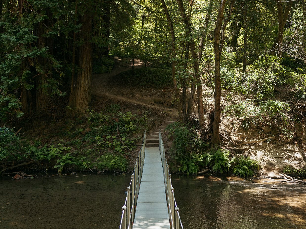 Seasonal Bridge at Henry Cowell Redwoods State Park. Photographed by Ben Ingram