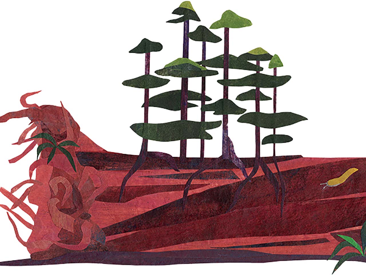 Paper collage of small trees growing out of a giant fallen redwood trunk.