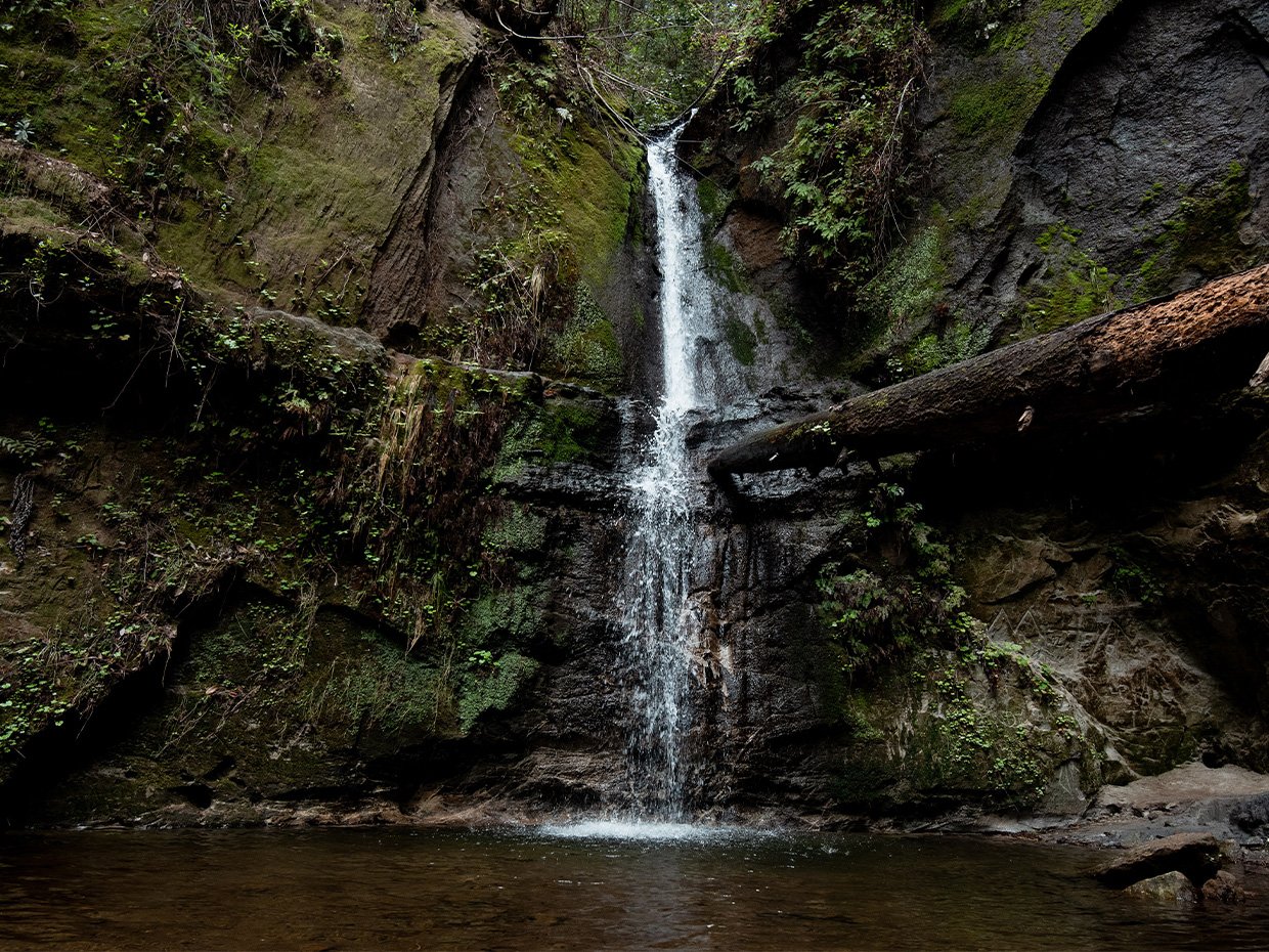 Maple Falls at Nisene Marks. Photographed by Caryn Hewlett
