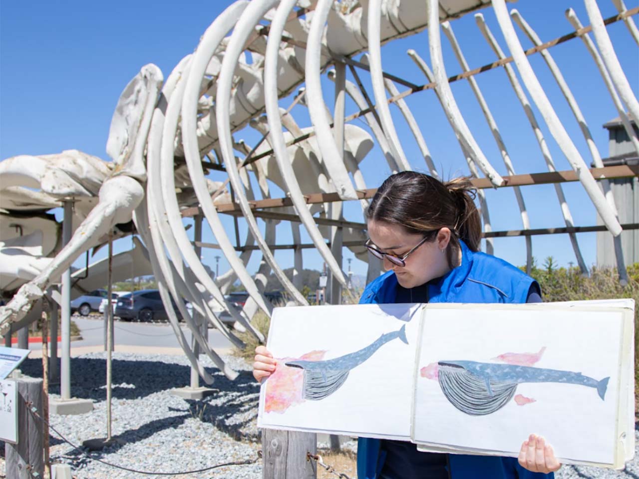 A docent standing in front of a blue whale skeleton outside showing pictures of how whales eat