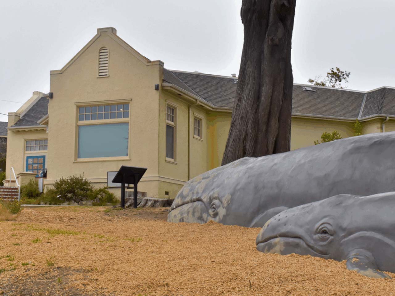 Whale and baby statue in front of the Museum of Natural History