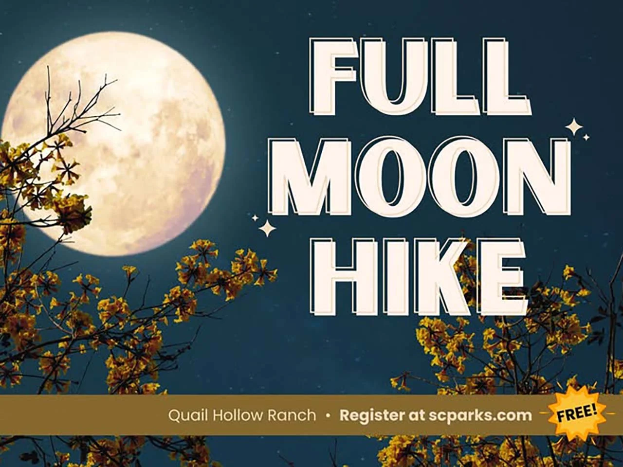 full moon above trees