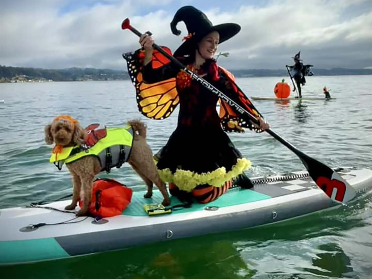 A witch and a poodle on a paddle board wearing monarch wings.