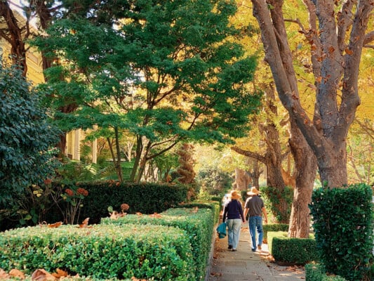 Two individuals stroll down Walnut St lined with victorian houses. Photographed by Monica Multer