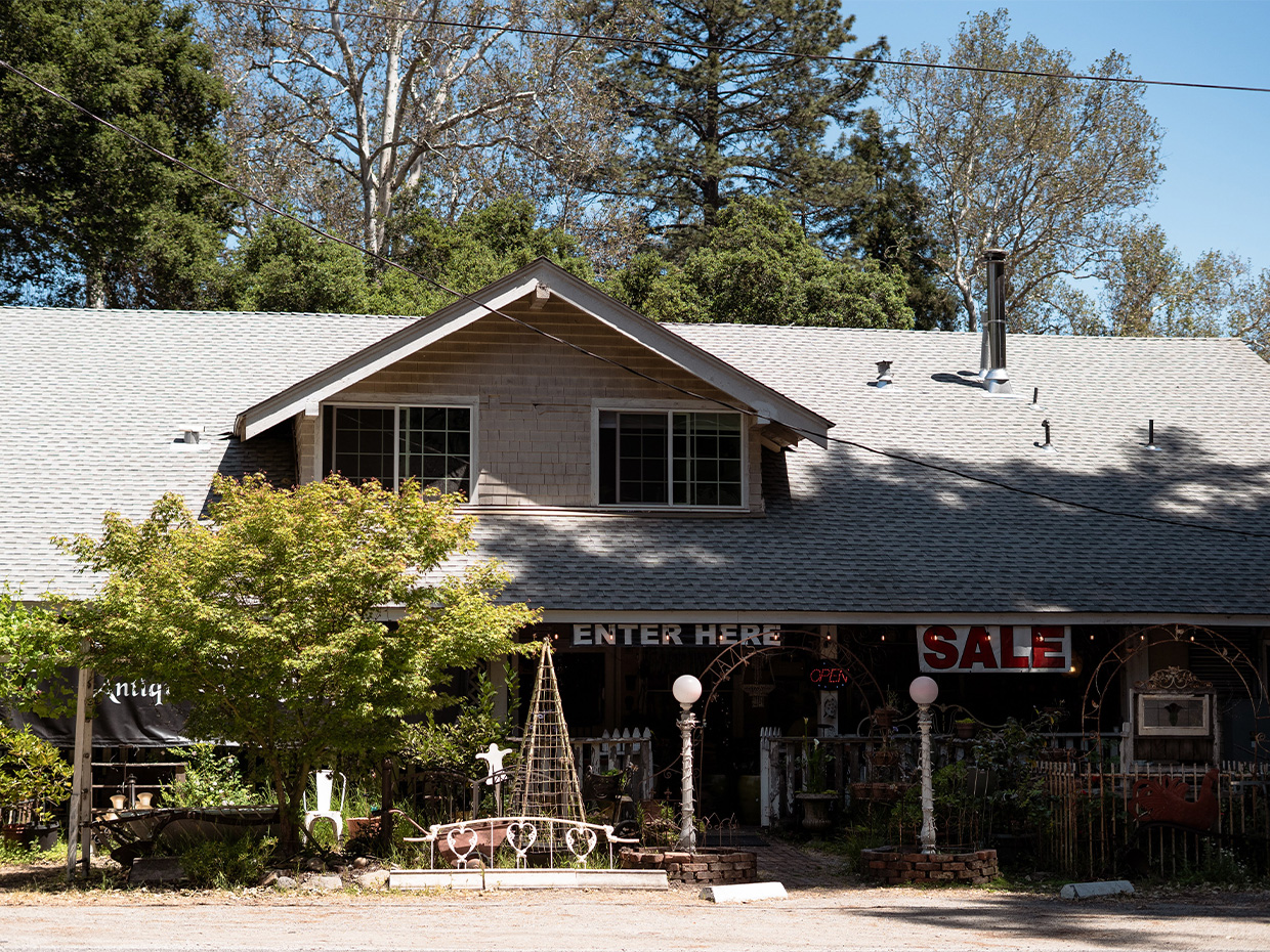 Antique Shopping at Towne Country Antiques. Photographed by Caryn Hewlett