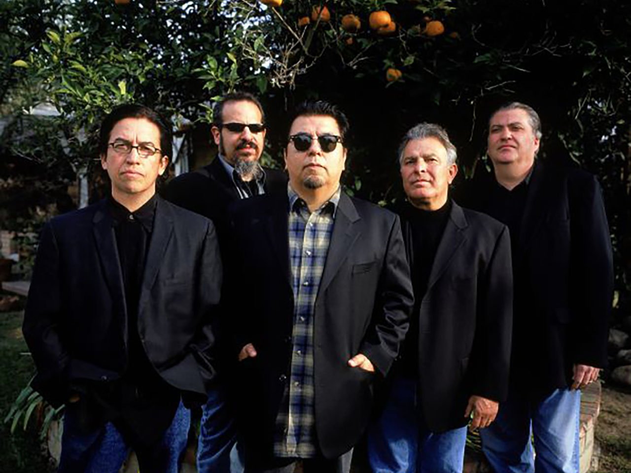 Los Lobos band in front of a n orange tree