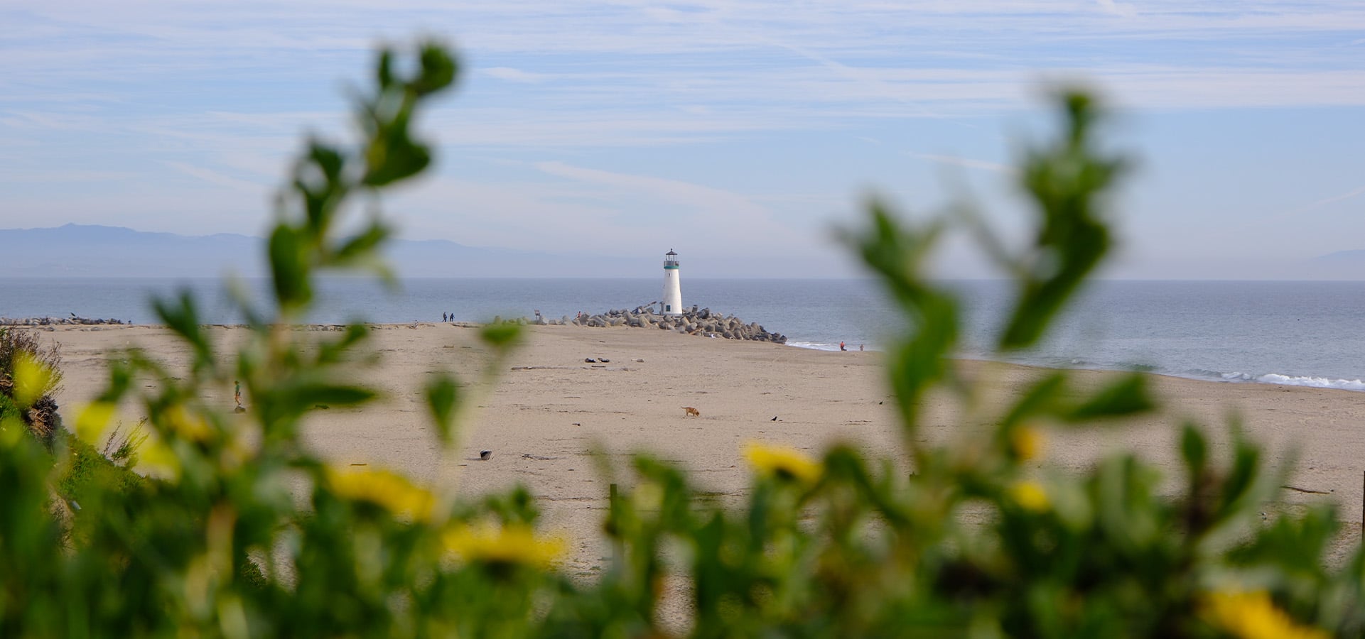 Santa Cruz - Visit Santa Cruz County