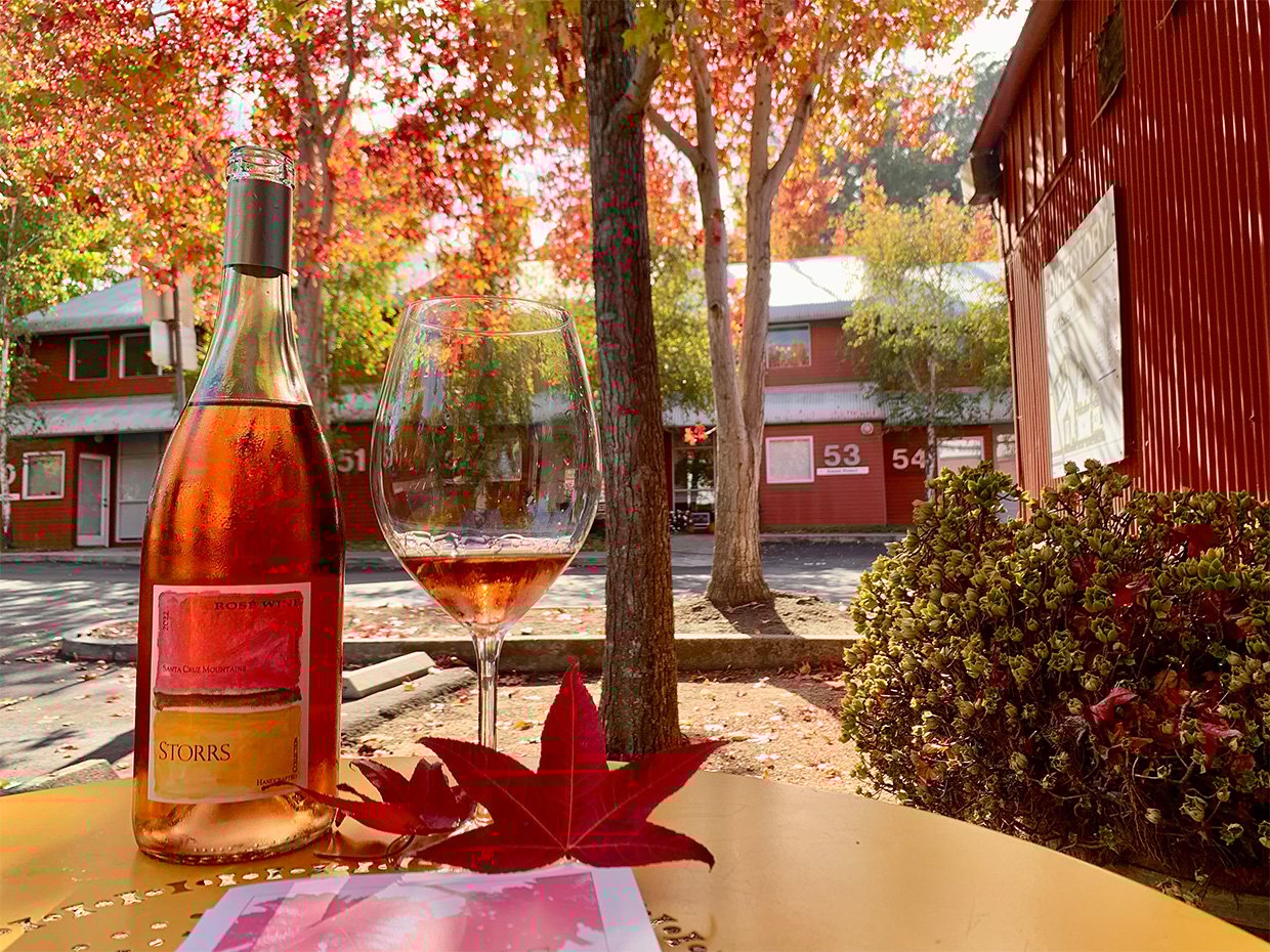 Wine tasting at Storrs. Photographed by Monica Multer