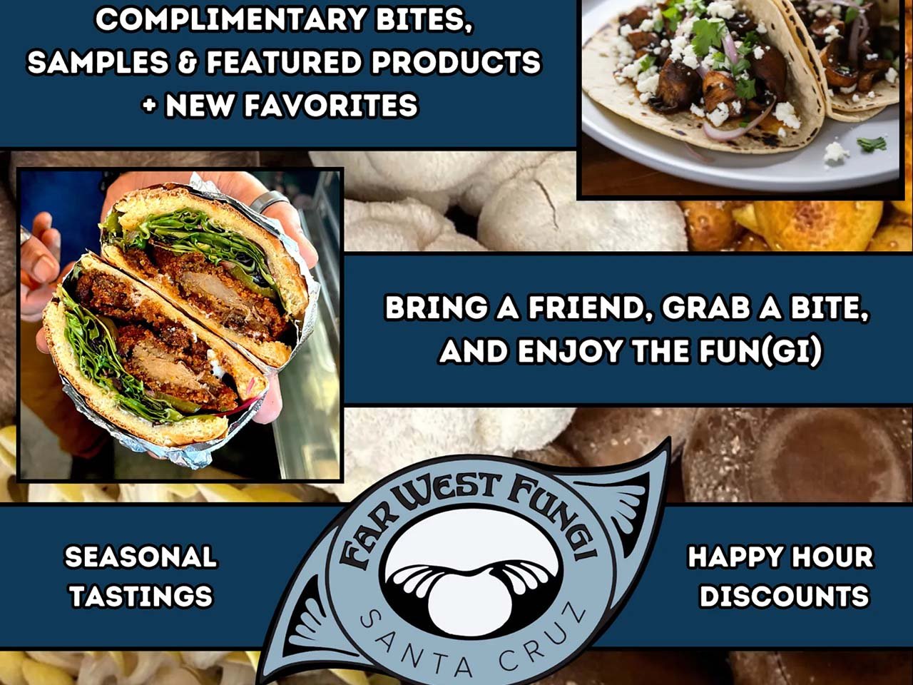 images of mushroom dishes