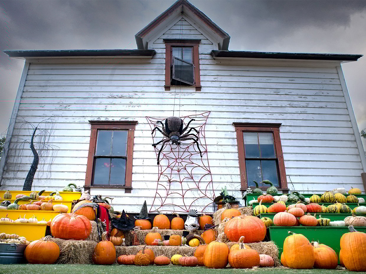 Festive halloween decor at Post Street Farm. Photographed by Paul Schraub