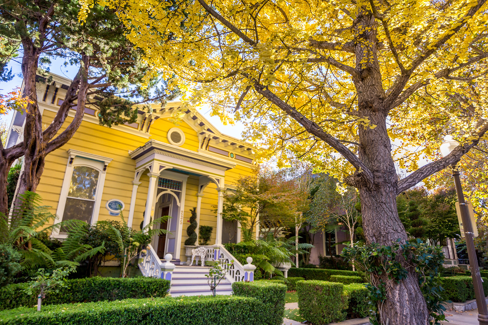 Autumn colors and a yellow victorian house on Walnut Avenue. Photographed by Garrick Ramirez