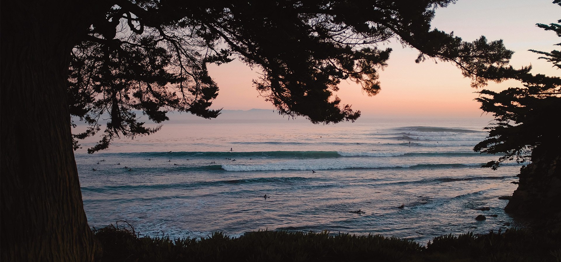 Peeking under the trees to watch surfers during sunset