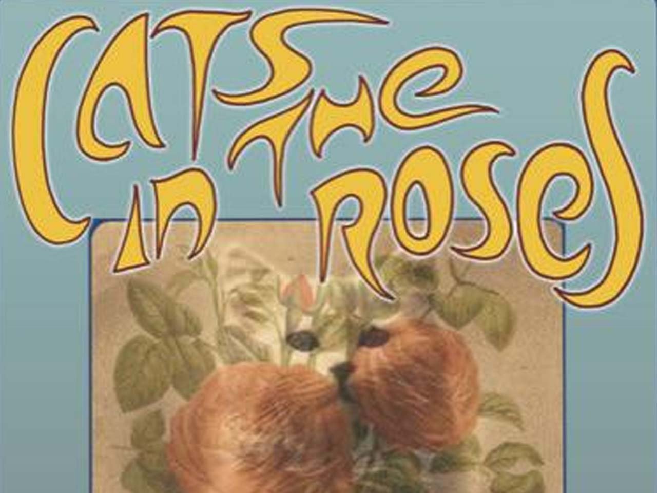Trippy writing of cats in the roses over an image of roses