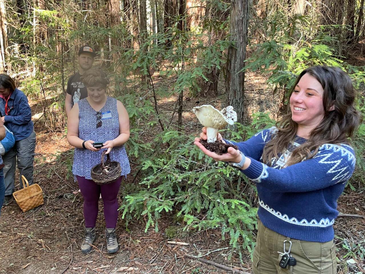 Hikers in a forest admiring a mushroom they have collected.