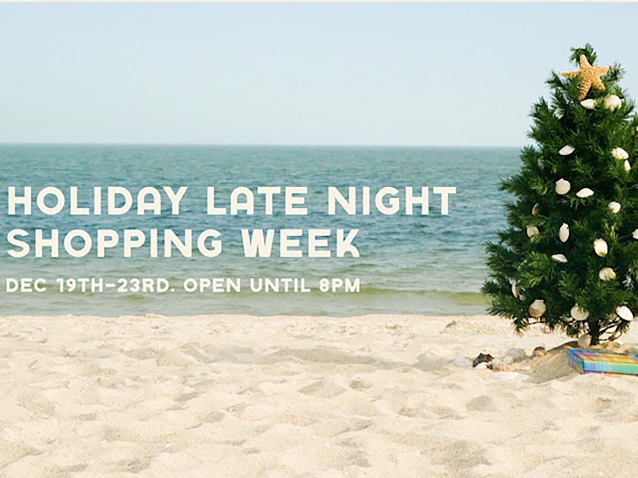 A Christmas tree on the beach decorated with seashells and a sea star on top