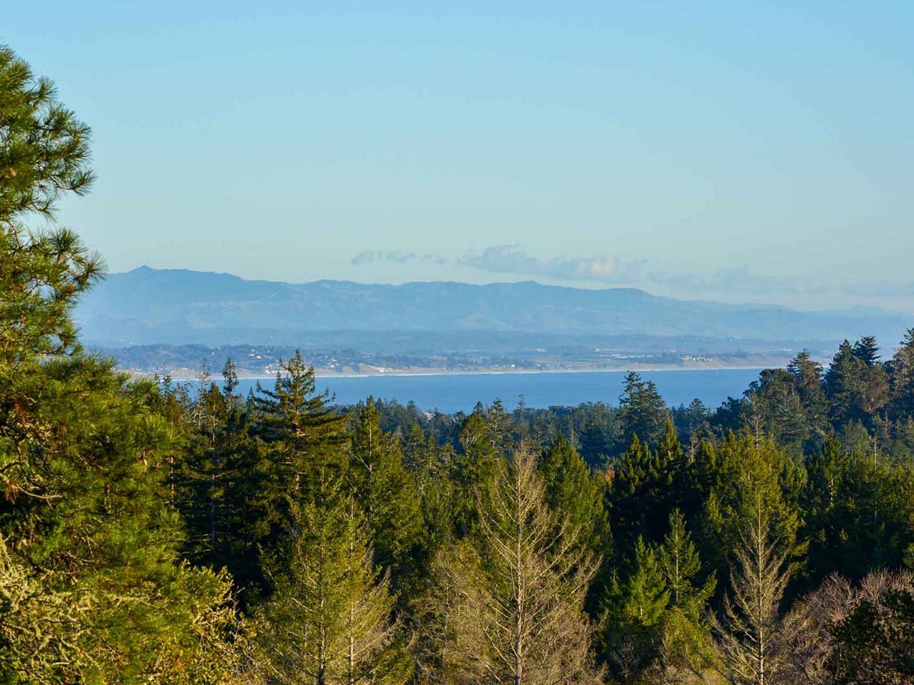 View of mountains above the bay and ocean above a redwood forest