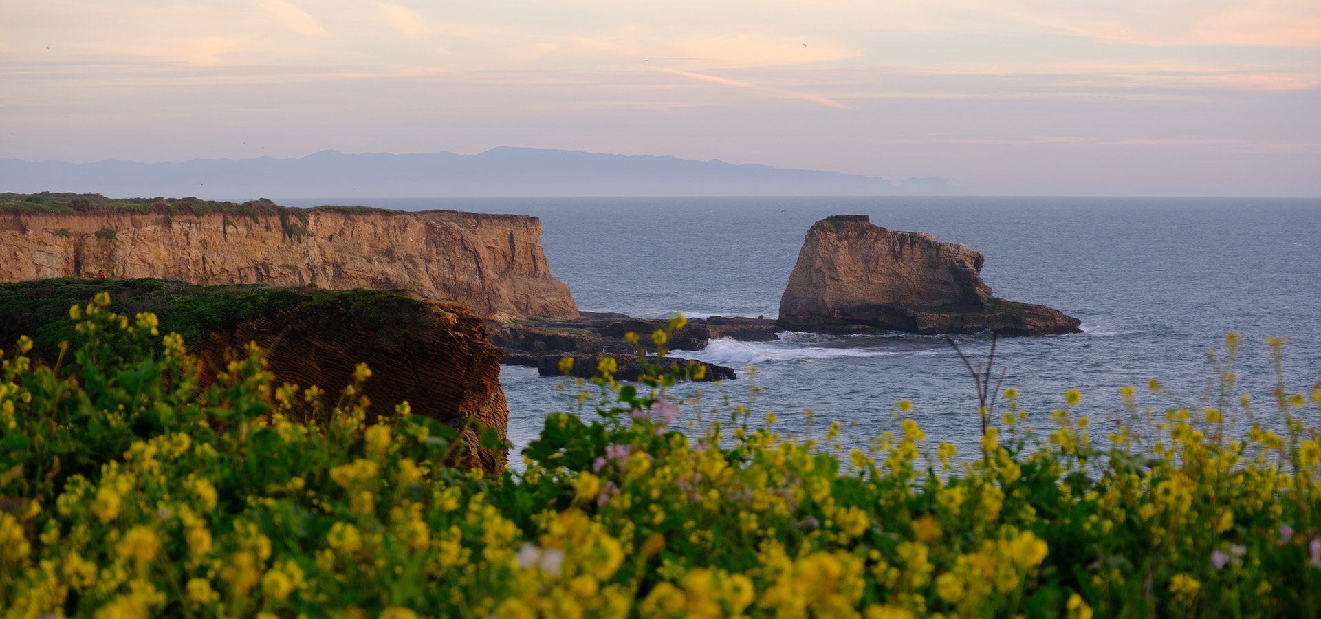 Wildflowers, dynamic cliffs with Hollister Hills over the Monterey Bay. Photographed by Daniel Gorostieta
