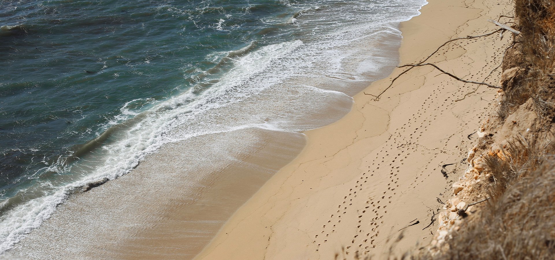 Footprints in the sane on Davenport beach. Photographed by Desi Wishart