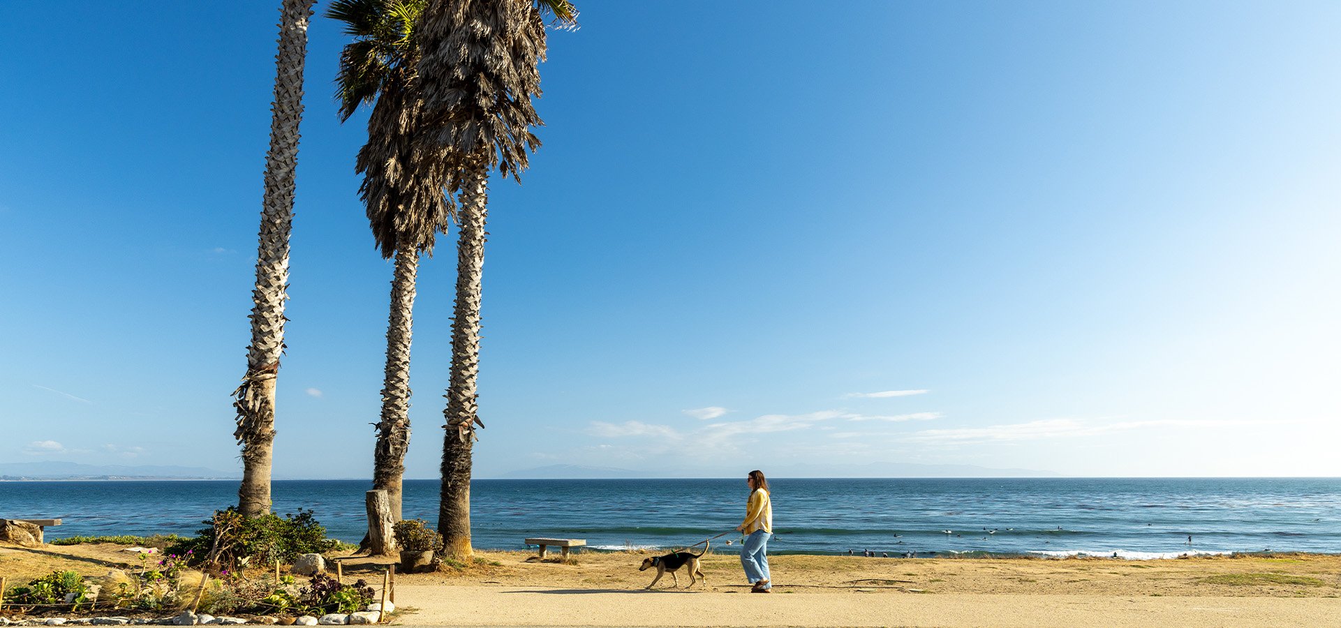 An individual walking their dog at Pleasure Point. Photographed by Daniel Gorostieta